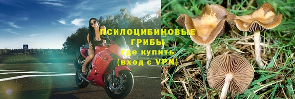 альфа пвп Новочеркасск