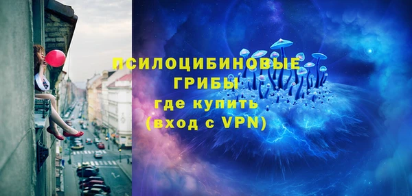 ГАЛЛЮЦИНОГЕННЫЕ ГРИБЫ Абдулино